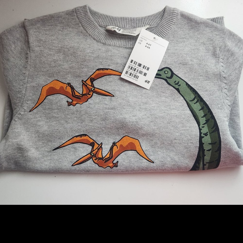 Boys H&M Fine-knit Sweater